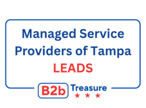 Managed Service Providers of tampa