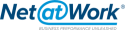 Net at Work Logo